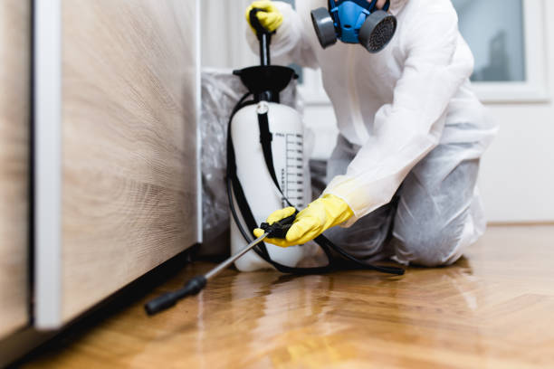 Trusted Boles Acres, NM Pest Control Experts