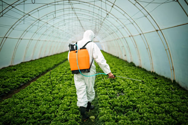 Best Mosquito Control Services  in Boles Acres, NM