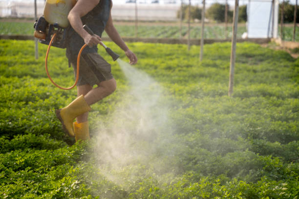 Best Residential Pest Control  in Boles Acres, NM