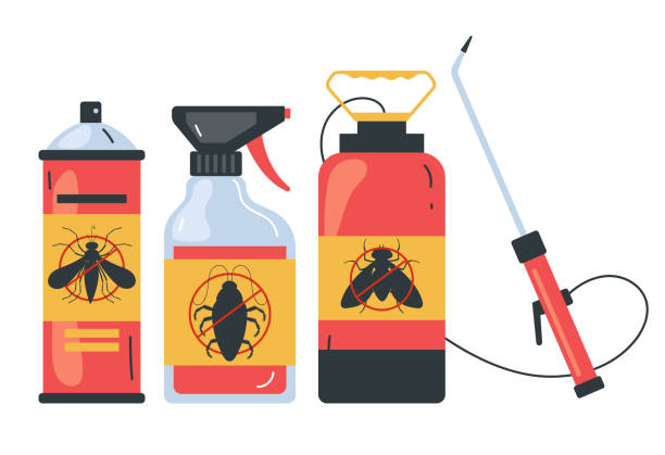 Best Exterminator Services  in Boles Acres, NM